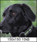 images/avatars/avatar-1019.jpeg