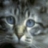 images/avatars/avatar-1133.jpg